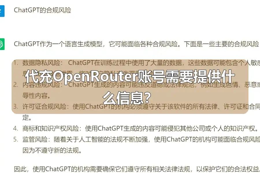 代充OpenRouter账号需要提供什么信息?